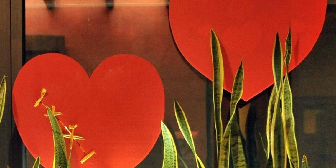 L’amore fa bene al cuore, lo dice la scienza: ecco cosa cambia se si è in coppia