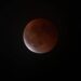 Luna di sangue, oggi l’eclissi totale: cos’è e quando vederla