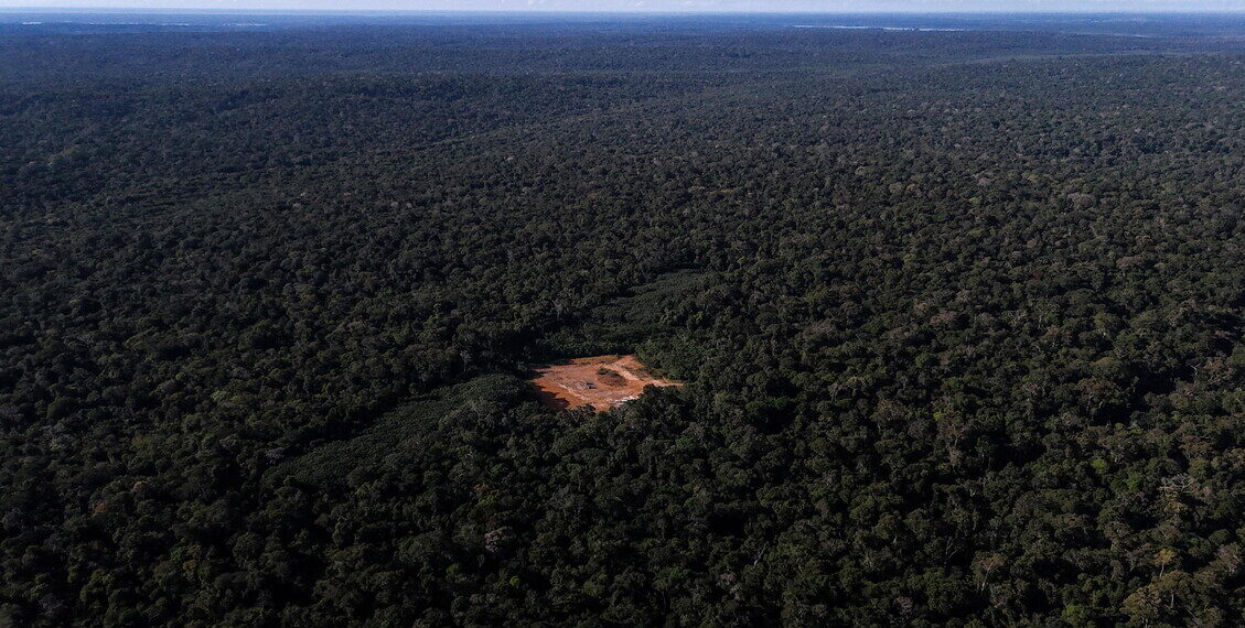 Brasile, le banche arruolate contro la deforestazione in Amazzonia