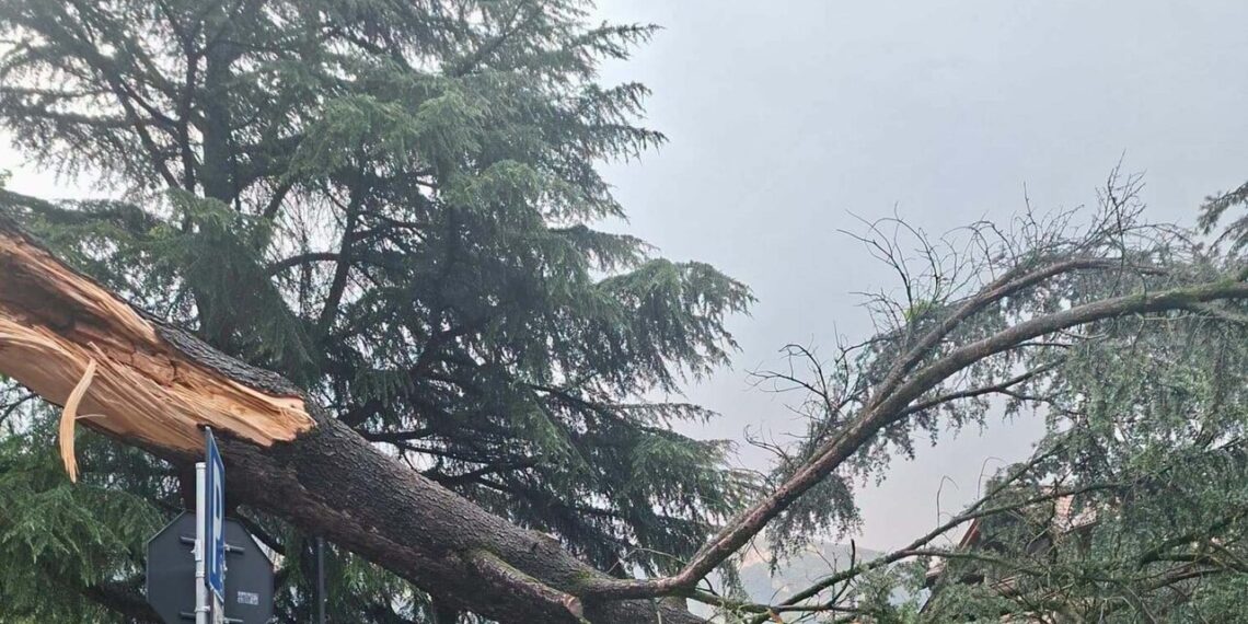 Albero cade su bus di linea durante un temporale in Alto Adige