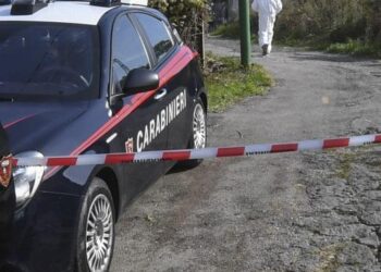 Roma, un uomo e un ragazzo trovati morti in stand allestito per palio Allumiere: avevano 36 e 15 anni