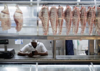 Brasile, il governo minaccia ritorsioni contro il blocco Ue alla carne