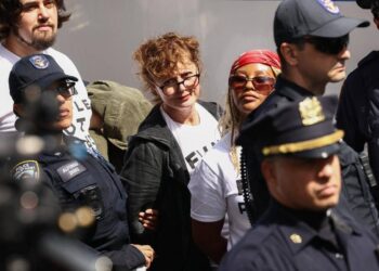 Susan Sarandon fermata a New York, protestava contro Netanyahu all’Onu