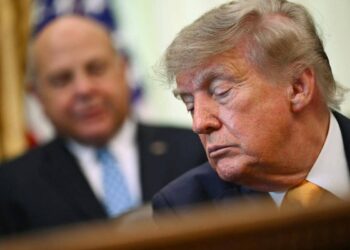 Ucraina-Russia, Trump: “Ho una proposta di pace”. Witkoff e Kushner prima da Putin e poi da Zelensky