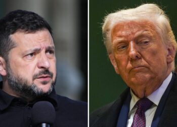 Ucraina, Trump spiazza Zelensky con la tregua energetica. Putin non conferma